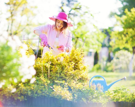 Professional gardener trimming shrubs in Earls Court garden